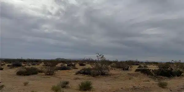 0 Acoma