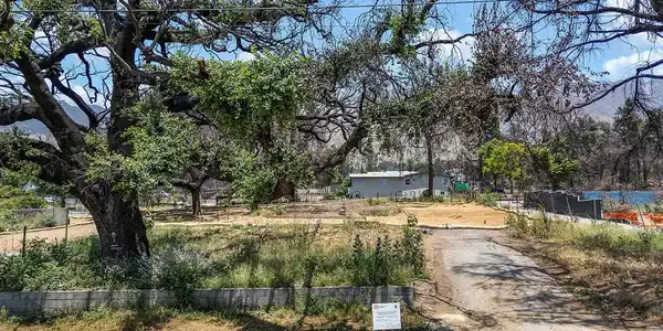 323 Marathon Road