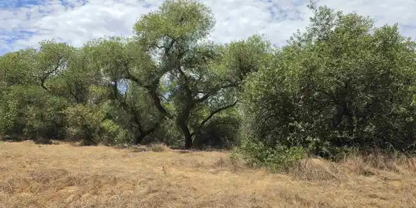 1.41 acres Durgin Street