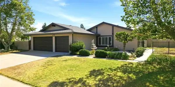 3073 Joshua Tree