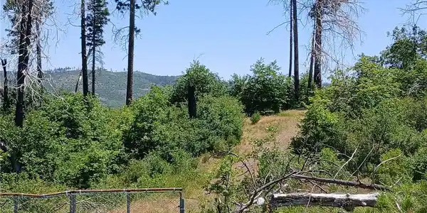 13392 Hog Ranch Road