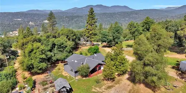 33463 Road 233