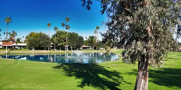 73 Marbella Drive