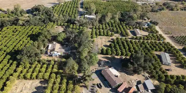 1 Rincon Springs