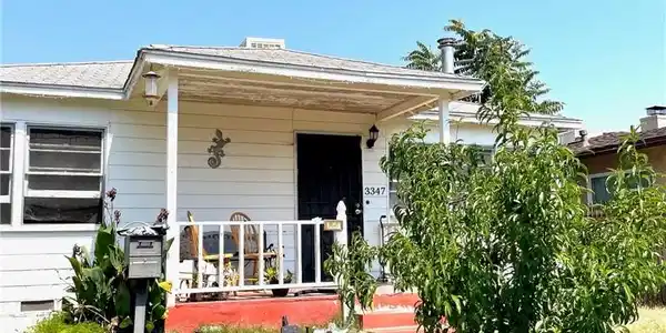 3347 acacia