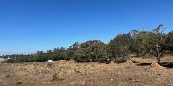 1990 Tularosa Road