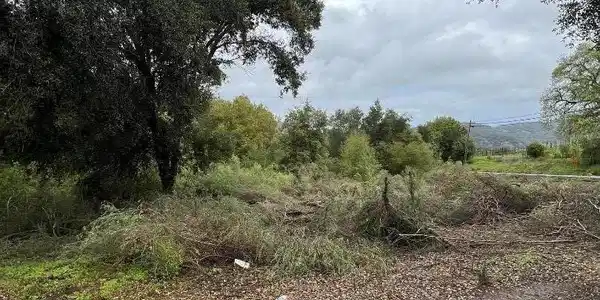 18445 Black Road