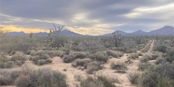 0 Cedar Canyon