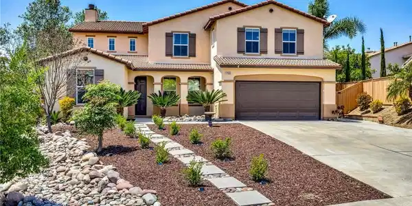 17603 Fan Palm