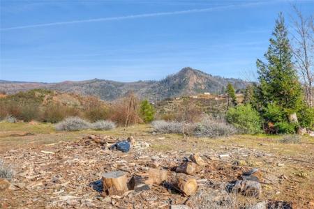 13828 Andover Drive