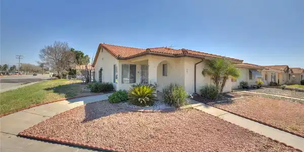 591 Palm