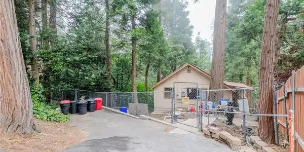 753 Woodland
