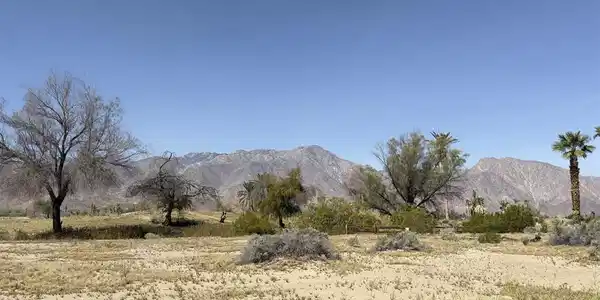 0 Foursome Drive