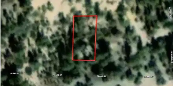 13307 Boy Scout Camp Road