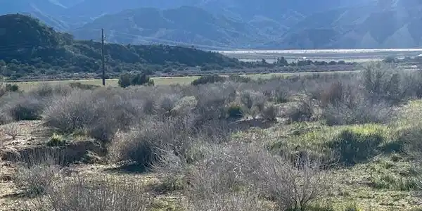 520 Quatal Canyon Road