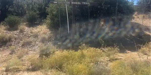 44813 Broken Wheel