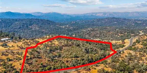 0 Toyon