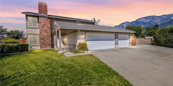 8520 Buggy Whip