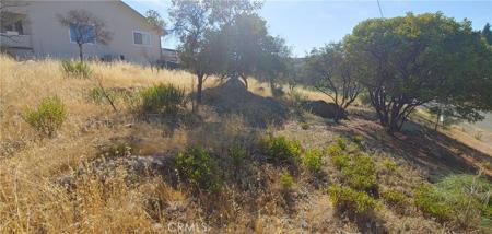 9911 Emerald Drive
