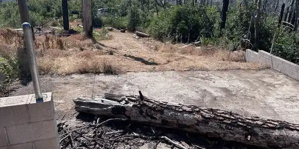 17 Big Oak