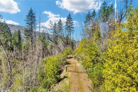 12061 Gifford Springs Road