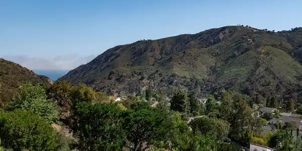 1774 Palisades Drive