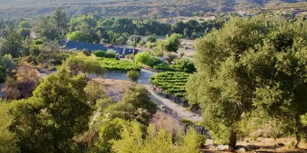 32800 Camino Ortega