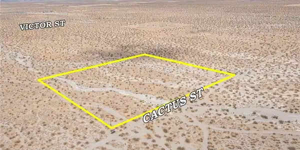 31001214 Cactus Road