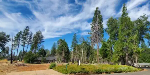 14060 Drexel Drive