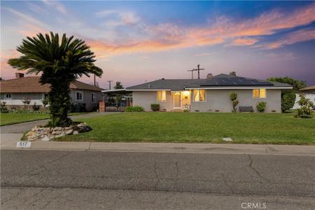 517 N Leaf