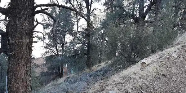 0 Oakmont Drive