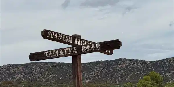 42890 tamatea