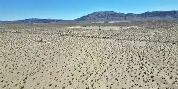 0 29 Palms