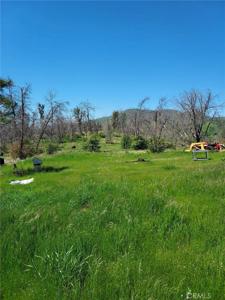 3109 Wild Dove Lane