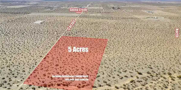 0 Cactus