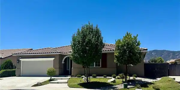 29209 Catalpa