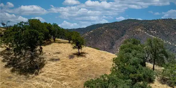 29201 Deertrail Drive