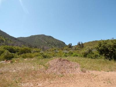 8801 Soda Bay Road