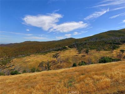 20808 Morgan Valley Road