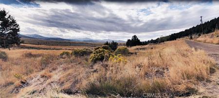 0 No address available