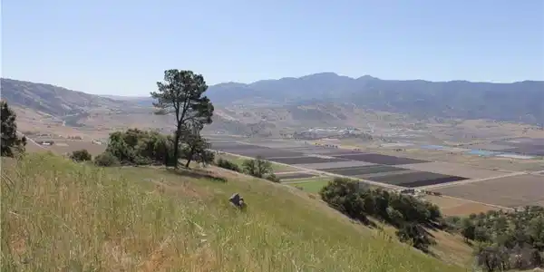 0 Skyline Drive
