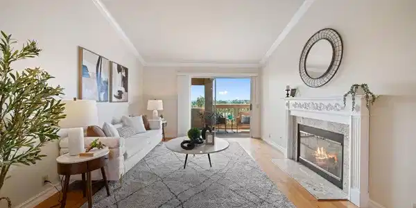 26342 Forest Ridge
