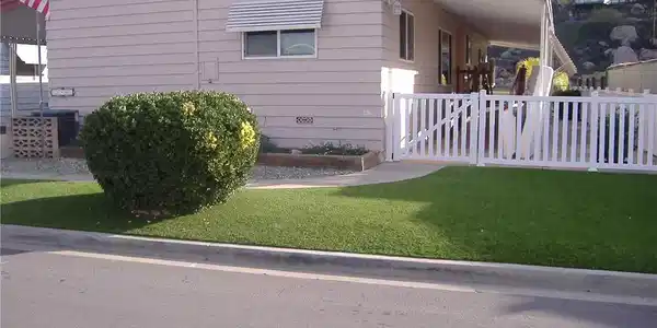 30861 Paradise Palm