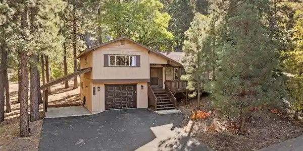 23132 Cardinal