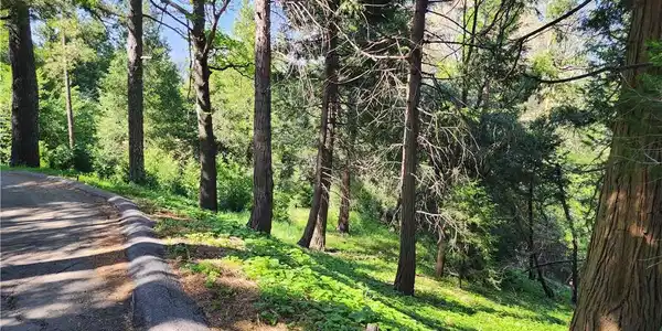 811 Deer Trail