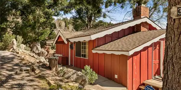 30509 Live Oak