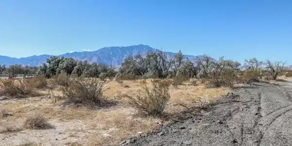 2.5 Acres_ Avenida Manzana