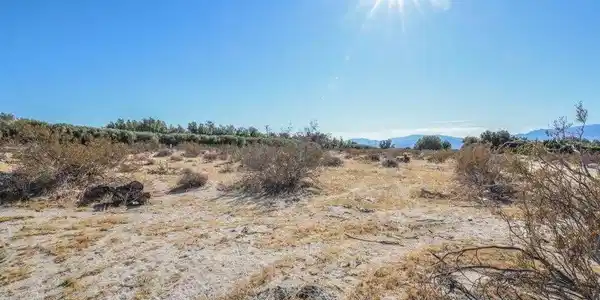 2.5 Acres_ Garnet