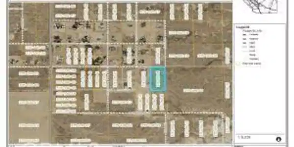 5501 Willow