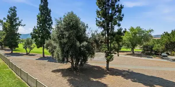 3171 Dehesa Road